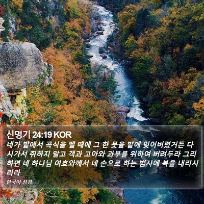 신명기 24:19 KOR Bible Verse Image