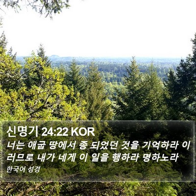 신명기 24:22 KOR Bible Verse Image