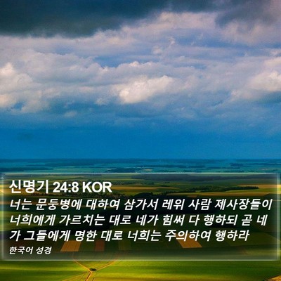 신명기 24:8 KOR Bible Verse Image