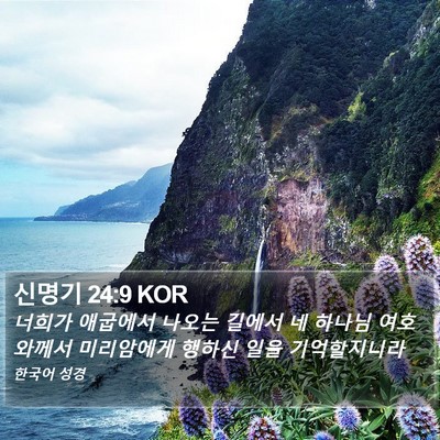 신명기 24:9 KOR Bible Verse Image