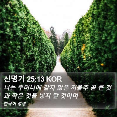 신명기 25:13 KOR Bible Verse Image