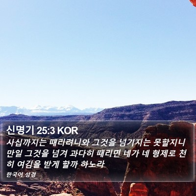 신명기 25:3 KOR Bible Verse Image