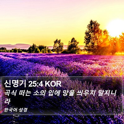 신명기 25:4 KOR Bible Verse Image