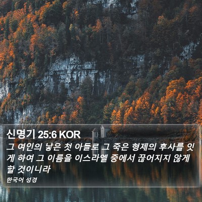신명기 25:6 KOR Bible Verse Image