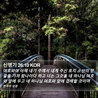 신명기 26:10 KOR Bible Verse Image