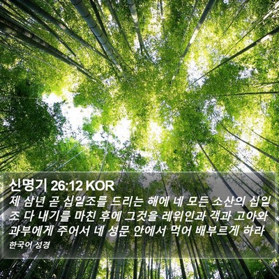 신명기 26:12 KOR Bible Verse Image