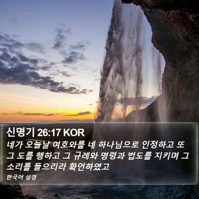신명기 26:17 KOR Bible Verse Image