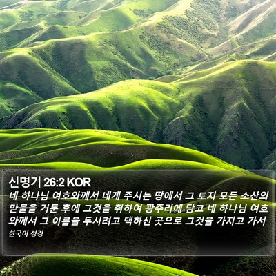 신명기 26:2 KOR Bible Verse Image