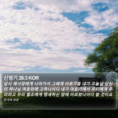 신명기 26:3 KOR Bible Verse Image