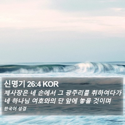 신명기 26:4 KOR Bible Verse Image