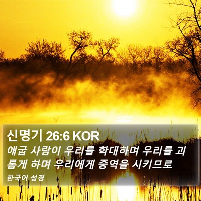 신명기 26:6 KOR Bible Verse Image