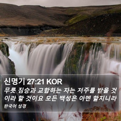 신명기 27:21 KOR Bible Verse Image