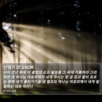 신명기 27:3 KOR Bible Verse Image