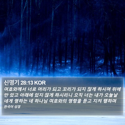 신명기 28:13 KOR Bible Verse Image