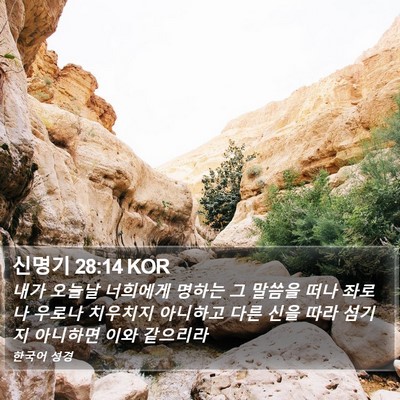 신명기 28:14 KOR Bible Verse Image