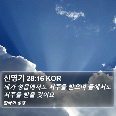 신명기 28:16 KOR Bible Verse Image