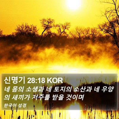신명기 28:18 KOR Bible Verse Image