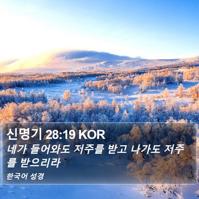 신명기 28:19 KOR Bible Verse Image