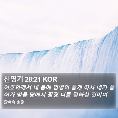 신명기 28:21 KOR Bible Verse Image
