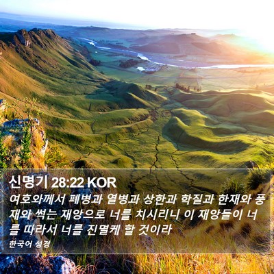 신명기 28:22 KOR Bible Verse Image