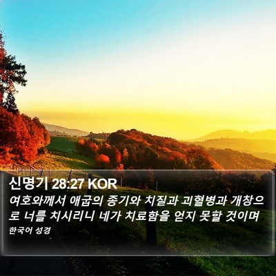 신명기 28:27 KOR Bible Verse Image