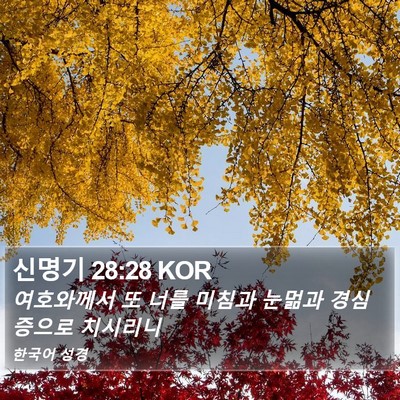 신명기 28:28 KOR Bible Verse Image