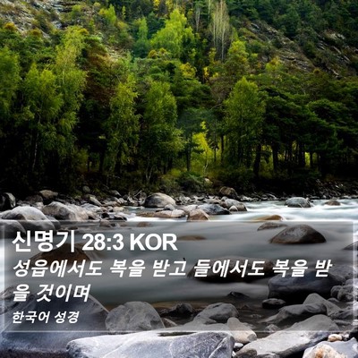 신명기 28:3 KOR Bible Verse Image