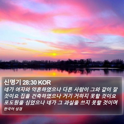 신명기 28:30 KOR Bible Verse Image