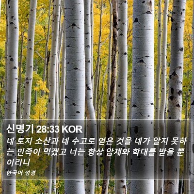 신명기 28:33 KOR Bible Verse Image
