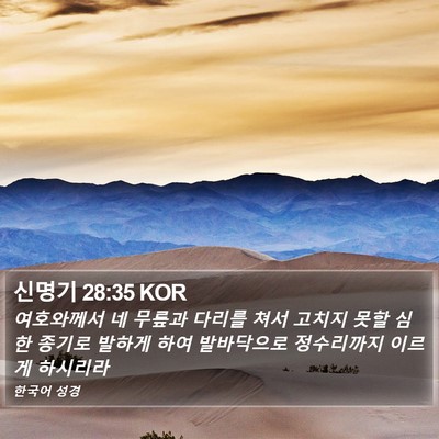 신명기 28:35 KOR Bible Verse Image