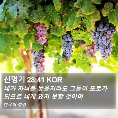 신명기 28:41 KOR Bible Verse Image