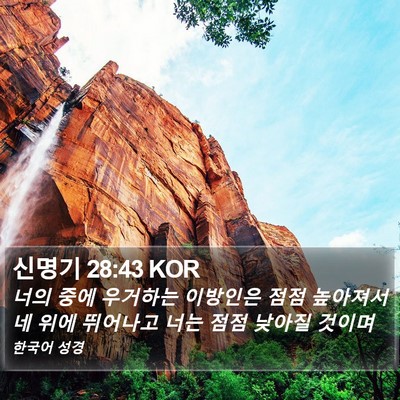 신명기 28:43 KOR Bible Verse Image