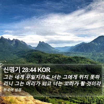 신명기 28:44 KOR Bible Verse Image