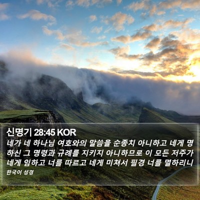 신명기 28:45 KOR Bible Verse Image