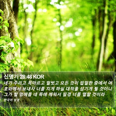 신명기 28:48 KOR Bible Verse Image