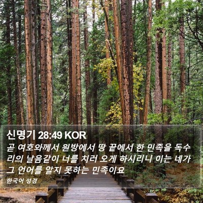 신명기 28:49 KOR Bible Verse Image