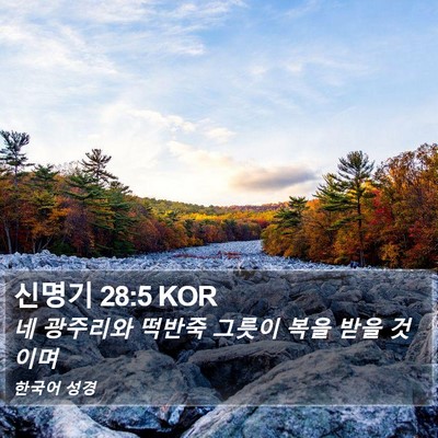 신명기 28:5 KOR Bible Verse Image