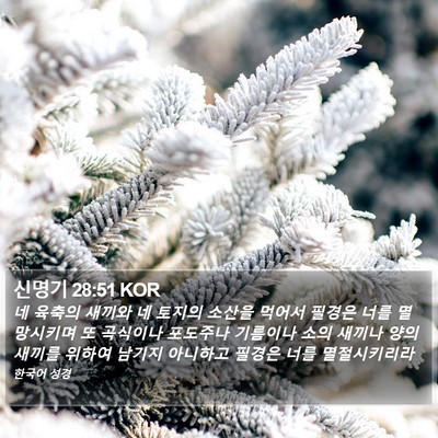 신명기 28:51 KOR Bible Verse Image