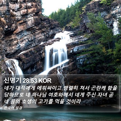 신명기 28:53 KOR Bible Verse Image