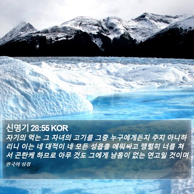 신명기 28:55 KOR Bible Verse Image
