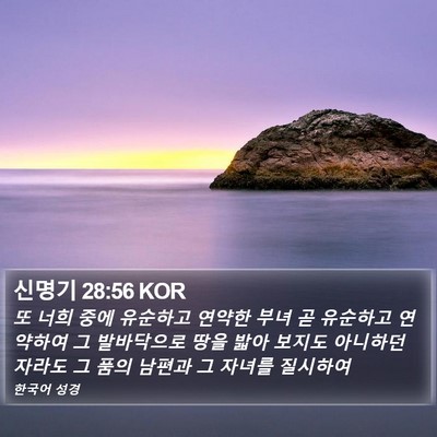 신명기 28:56 KOR Bible Verse Image