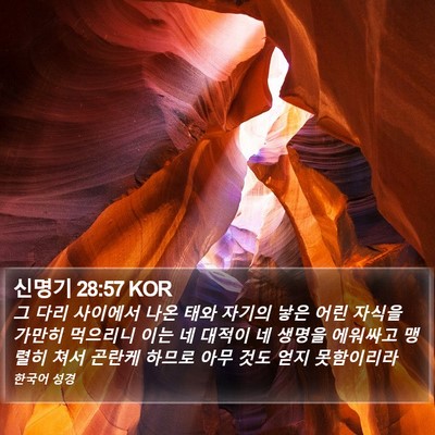 신명기 28:57 KOR Bible Verse Image