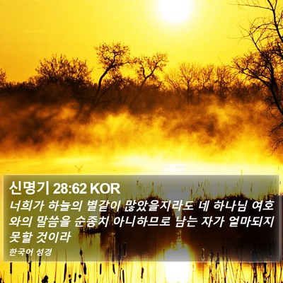 신명기 28:62 KOR Bible Verse Image