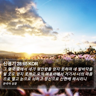 신명기 28:65 KOR Bible Verse Image