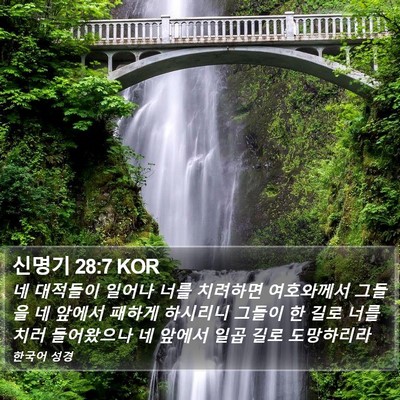 신명기 28:7 KOR Bible Verse Image