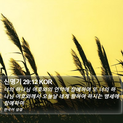 신명기 29:12 KOR Bible Verse Image