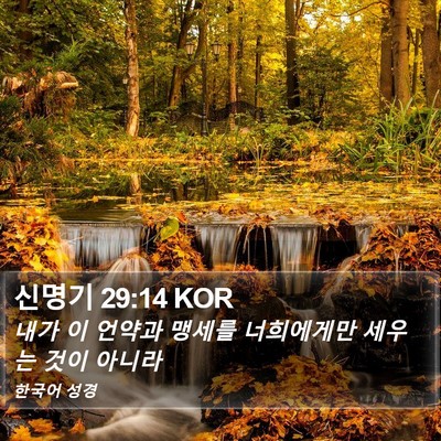 신명기 29:14 KOR Bible Verse Image