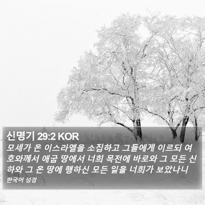 신명기 29:2 KOR Bible Verse Image