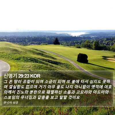 신명기 29:23 KOR Bible Verse Image