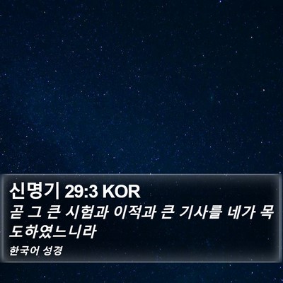 신명기 29:3 KOR Bible Verse Image